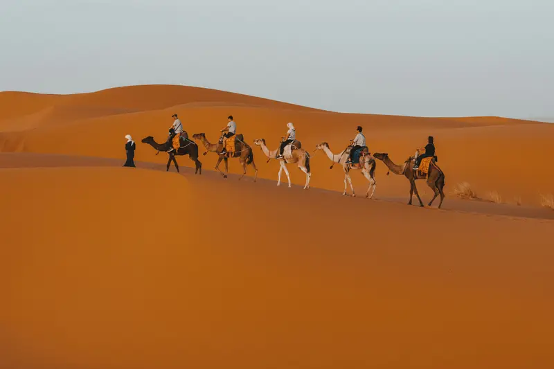 Fez → Merzouga